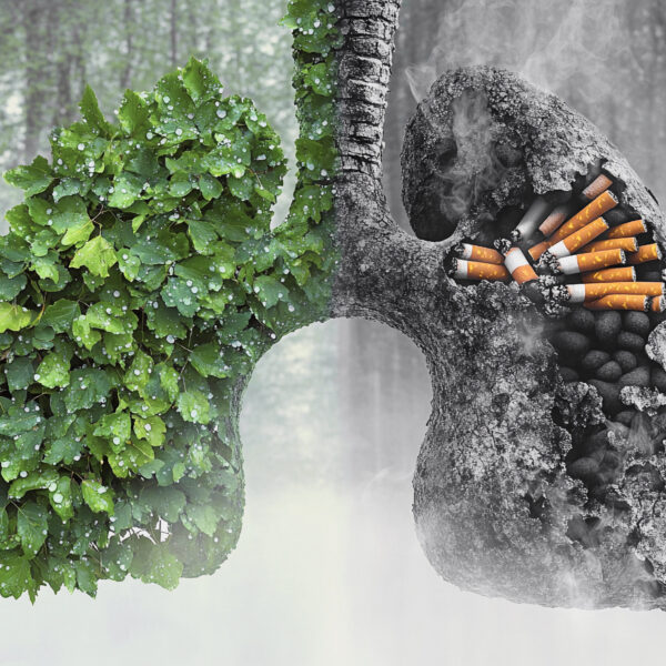 對比健康與受損肺部的圖像，左側由綠色葉片構成象徵健康肺，右側呈現因吸菸而焦黑破損的肺部，內含多支香菸。