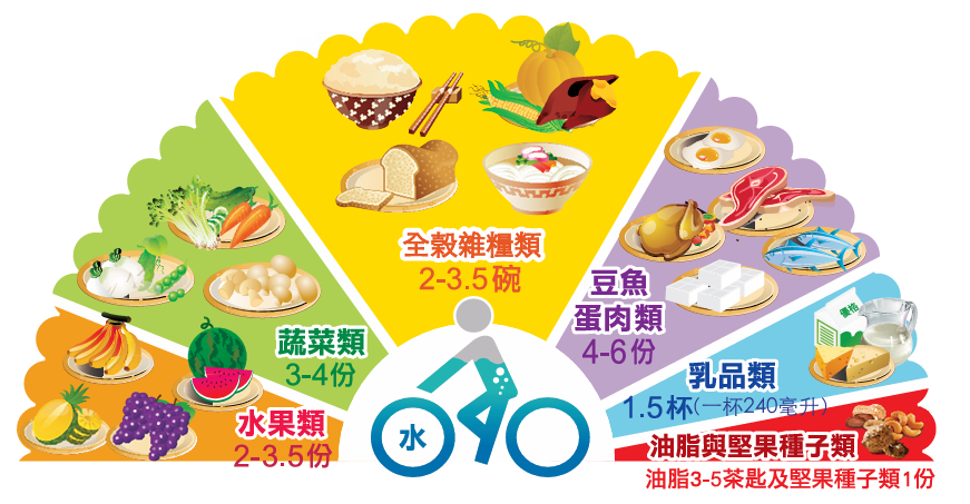 高齡者每日飲食建議圖,顯示全穀雜糧類、蔬菜、水果、豆魚蛋肉、乳品與油脂堅果的份量比例