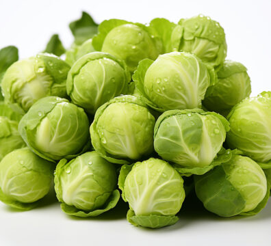 孢子甘藍, 球型甘藍