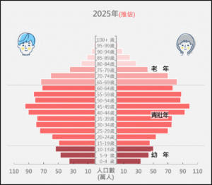 2025年台灣推估人口金字塔，青壯年人口開始下降，老年人口明顯增加，幼年人口持續縮減，人口結構向「中高齡化」快速轉變。