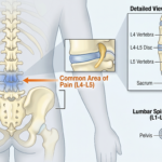 彎腰洗頭時腰很痠？可能不是脊椎老化，而是身體正在發出警訊