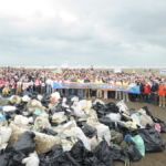 2026 和泰集團全台淨灘總動員，讓愛與減塑同行