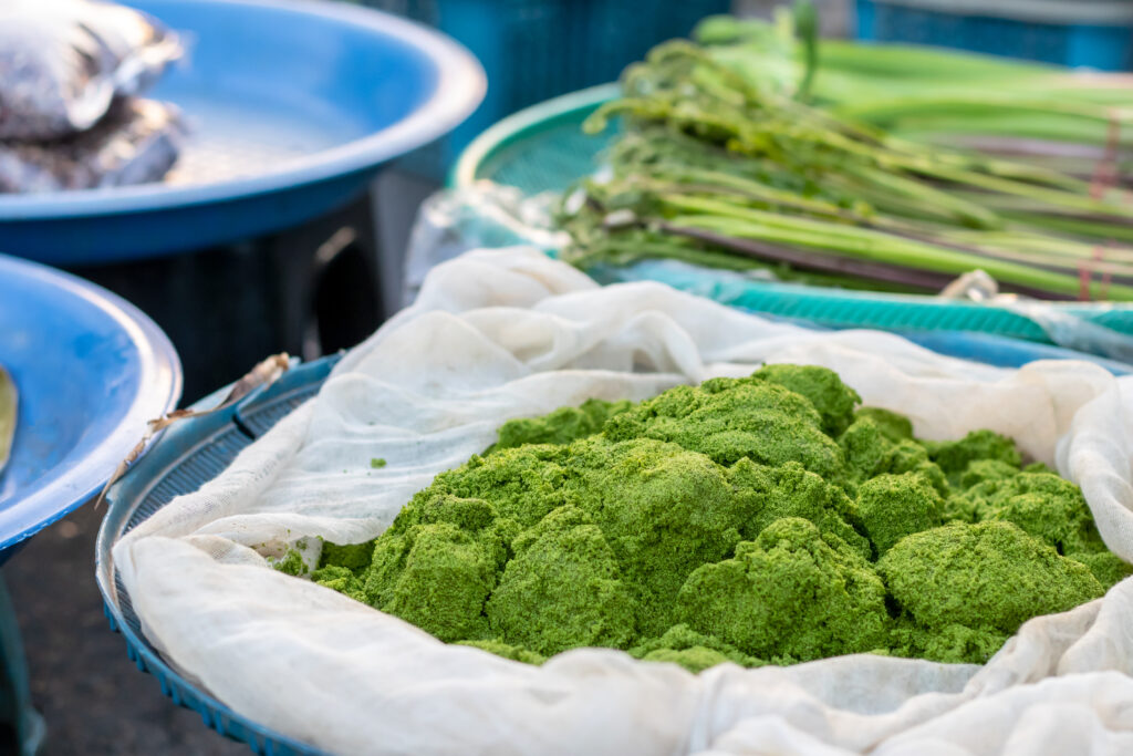 曼凱（Mankai, Wolffia globosa)