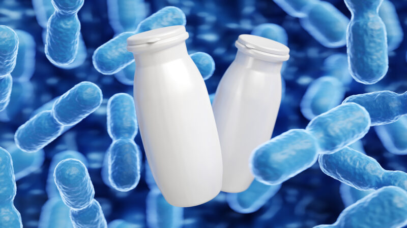 優酪乳益生菌與腸道菌相示意圖，說明乳酸菌對腸道健康的可能影響