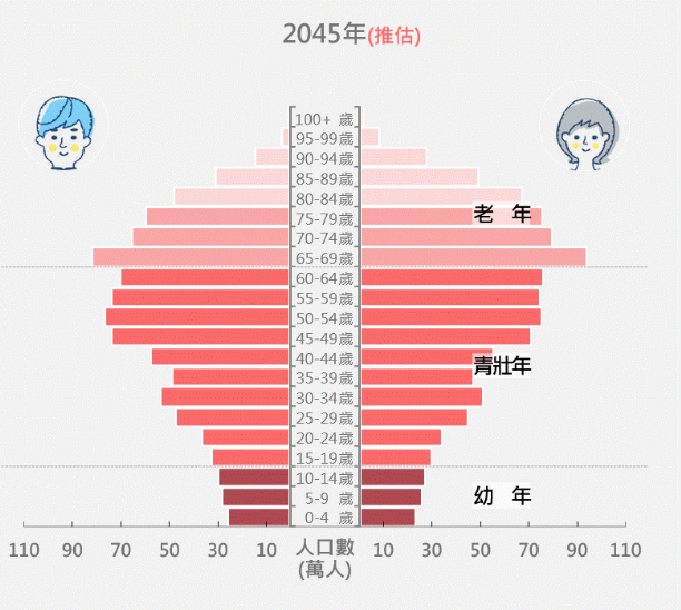 2045 台灣人口比例